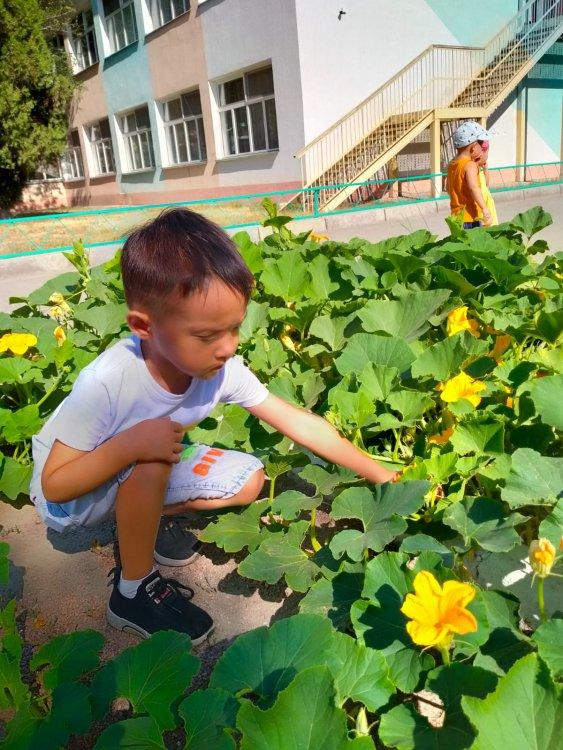 Бақшаға саяхат: "Көкеністер әлемі"